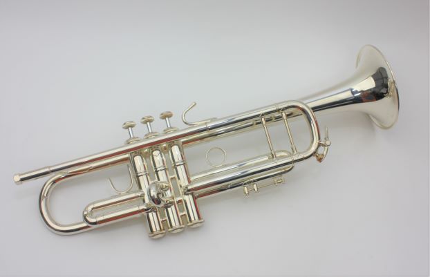 ������ѡ�V. Bach B���ɥȥ��ڥå� 180MLV 72/43 SP