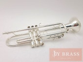 ھBȥڥå Virtuoso SP #12xxxx