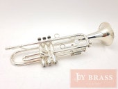 ھBȥڥå Holton ST302 SP #525xxx