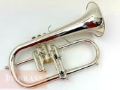 Stomvi Elite DA93 CPS �ե�塼����ۥ��