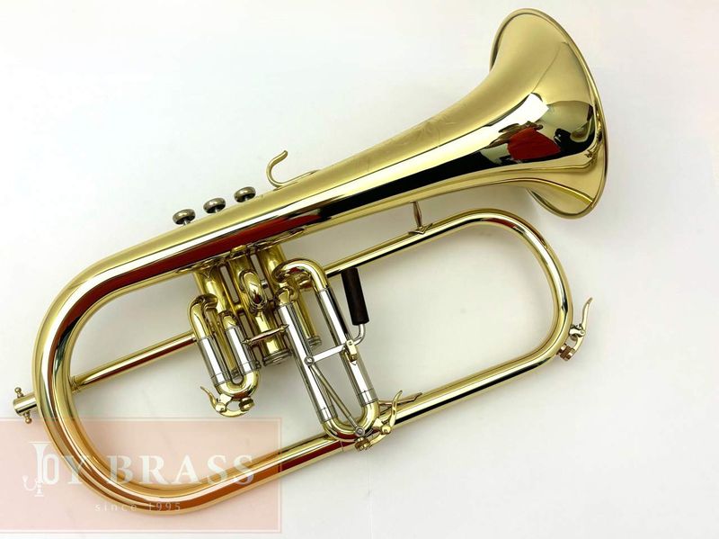 S.E.Shires �ե�塼����ۥ�� Q���꡼��"Model Q19" ��å����ž夲