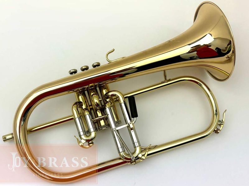 S.E.Shires �ե�塼����ۥ�� Q���꡼��"Model Q19G" ��å����ž夲