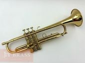 Bȥڥå Martin Committee å #182xxx