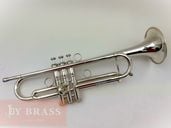 Bȥڥå Carol Brass ZORRO SP #90xxx