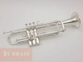 ���B���ȥ��ڥå� S.E.Shires BLW SP #5xx