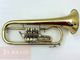 ��ťե�塼����ۥ�� Miraphone 24R ��å��� 