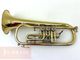 ��ťե�塼����ۥ�� Miraphone 24R ��å��� 