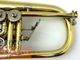 ��ťե�塼����ۥ�� Miraphone 24R ��å��� 