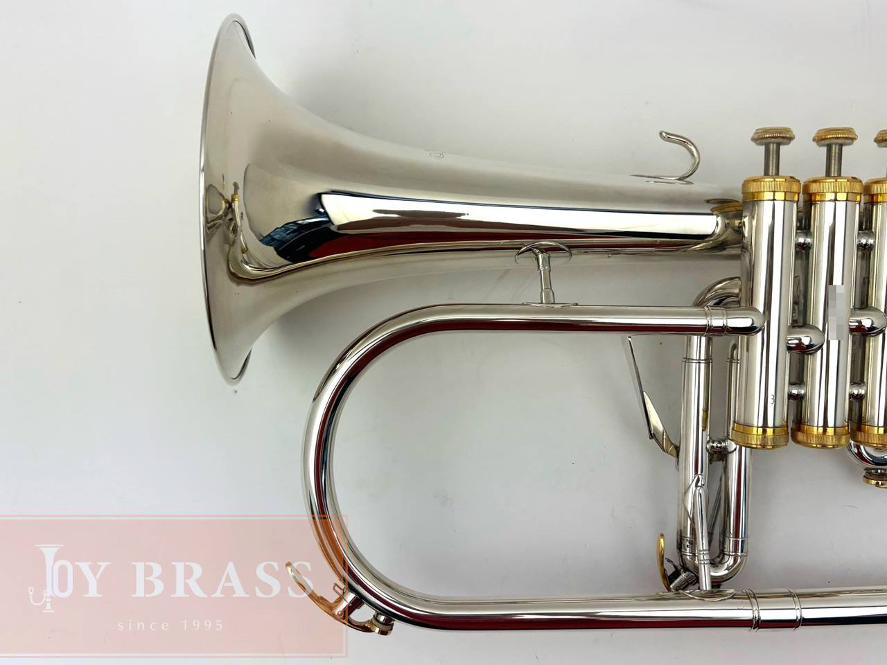 ������ѡ���ťե�塼����ۥ�� Buzz FL265L SP/GP #35xxx