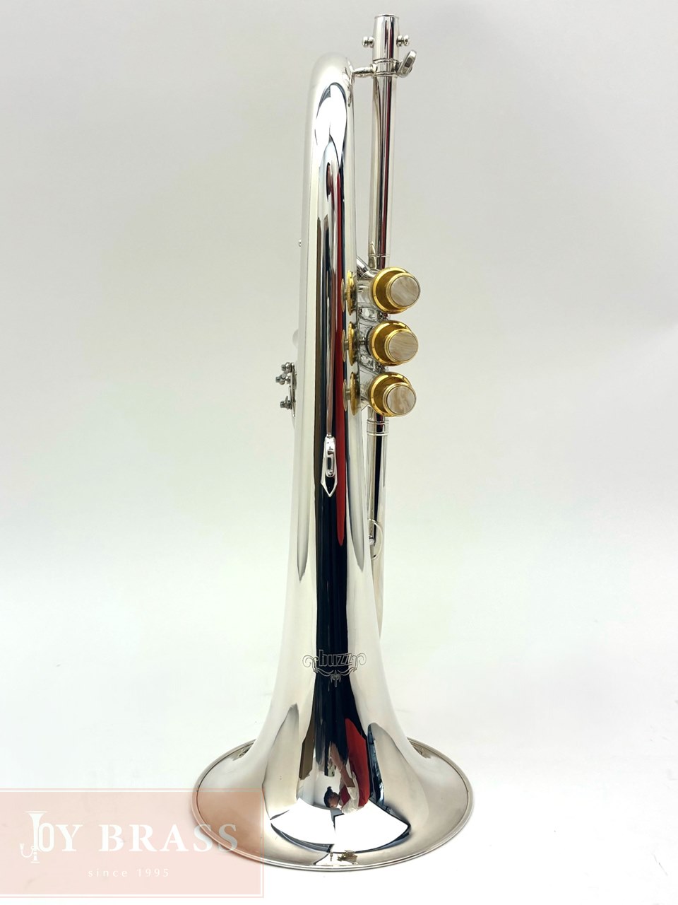 ������ѡ���ťե�塼����ۥ�� Buzz FL265L SP/GP #35xxx