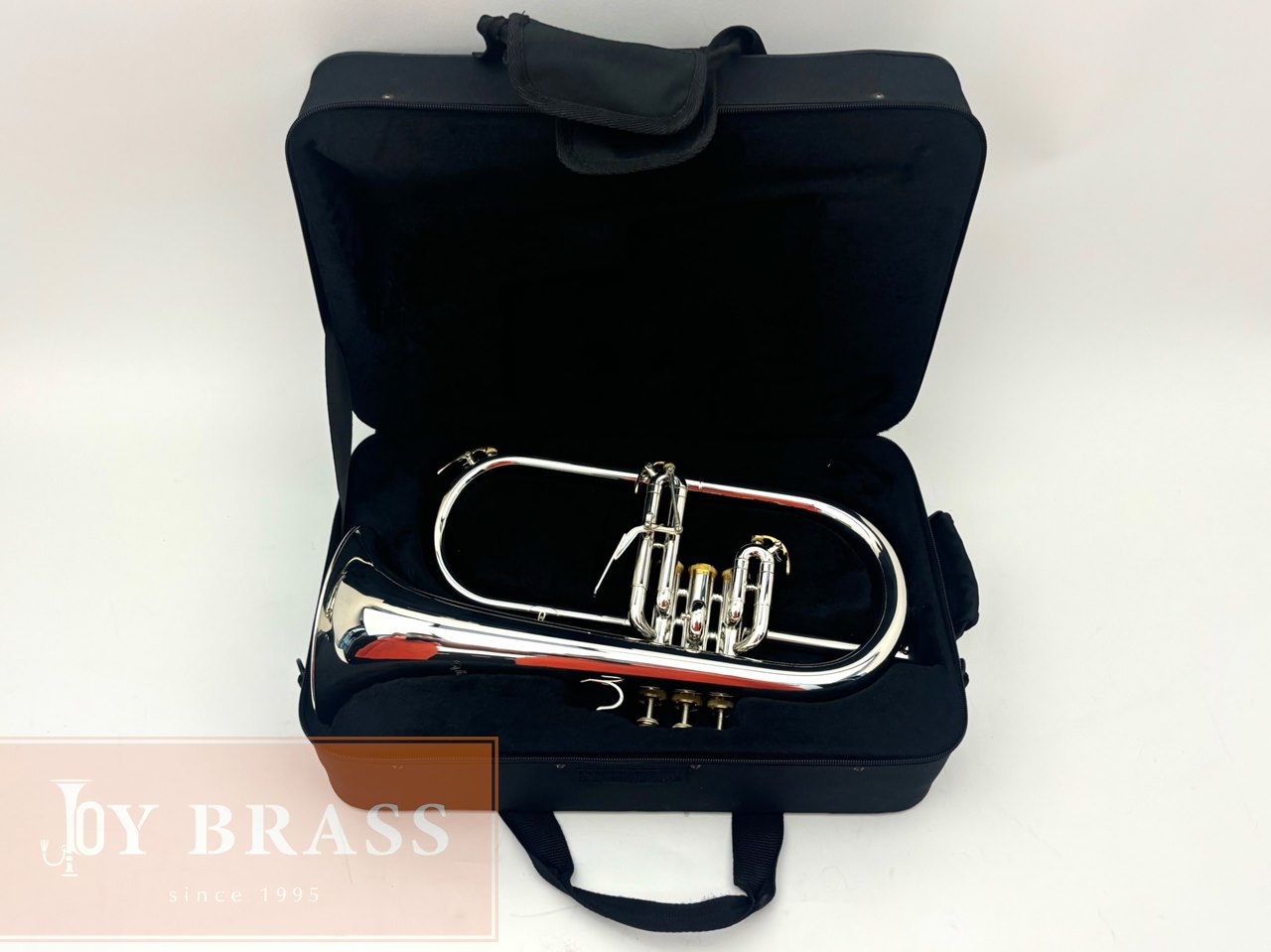 ������ѡ���ťե�塼����ۥ�� Buzz FL265L SP/GP #35xxx