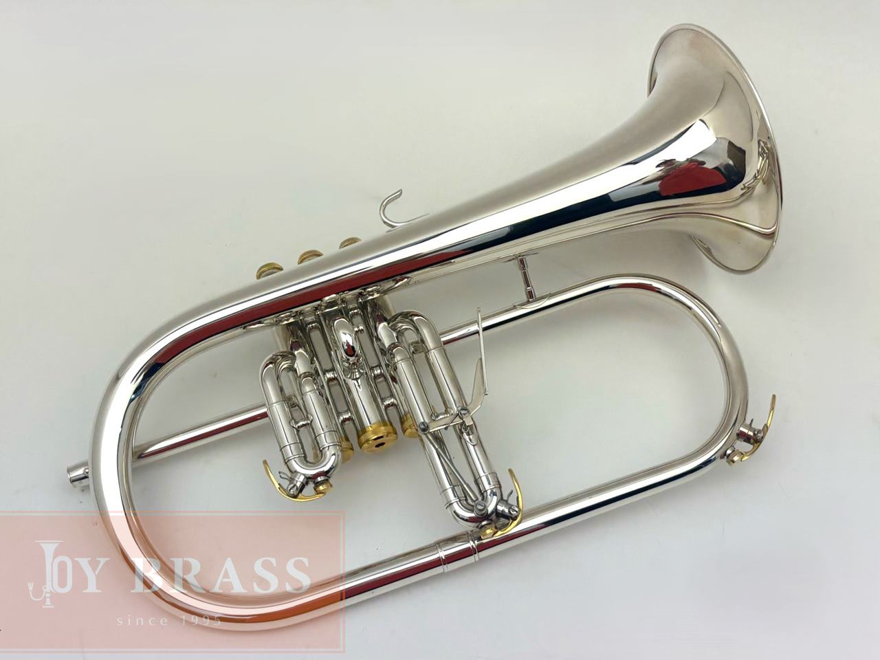 ������ѡ���ťե�塼����ۥ�� Buzz FL265L SP/GP #35xxx