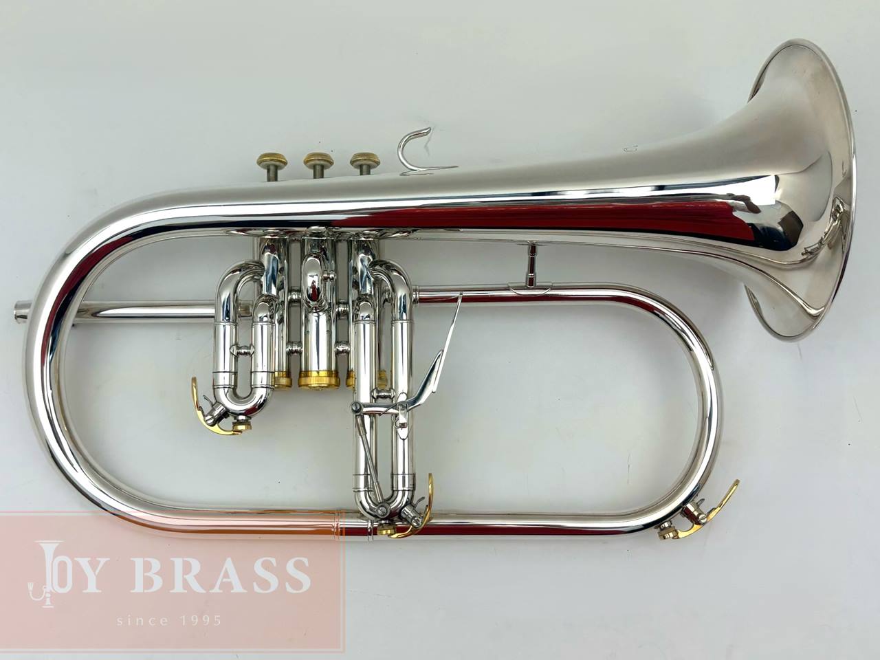 ������ѡ���ťե�塼����ۥ�� Buzz FL265L SP/GP #35xxx