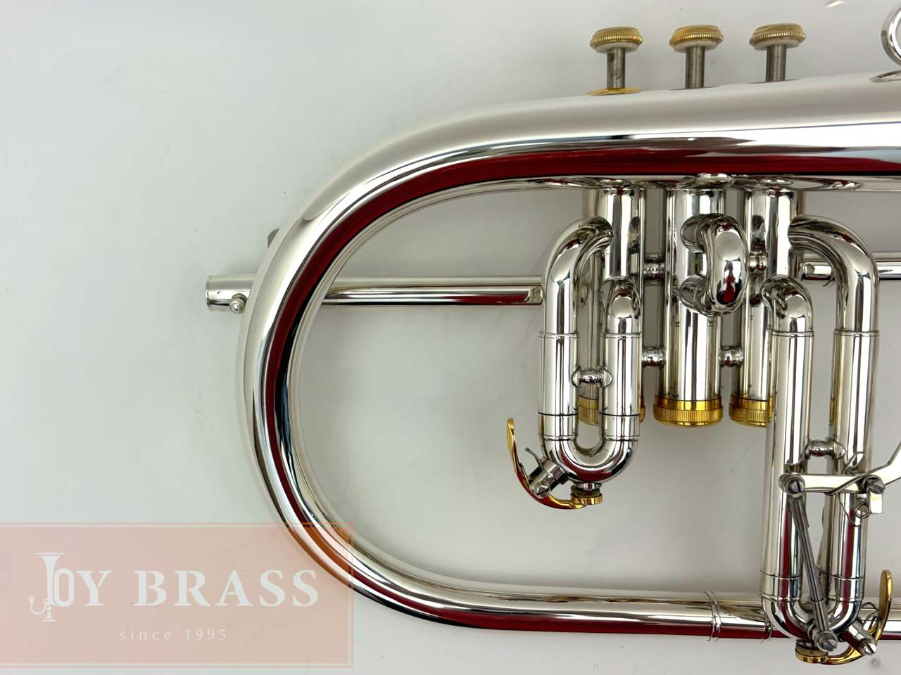 ������ѡ���ťե�塼����ۥ�� Buzz FL265L SP/GP #35xxx