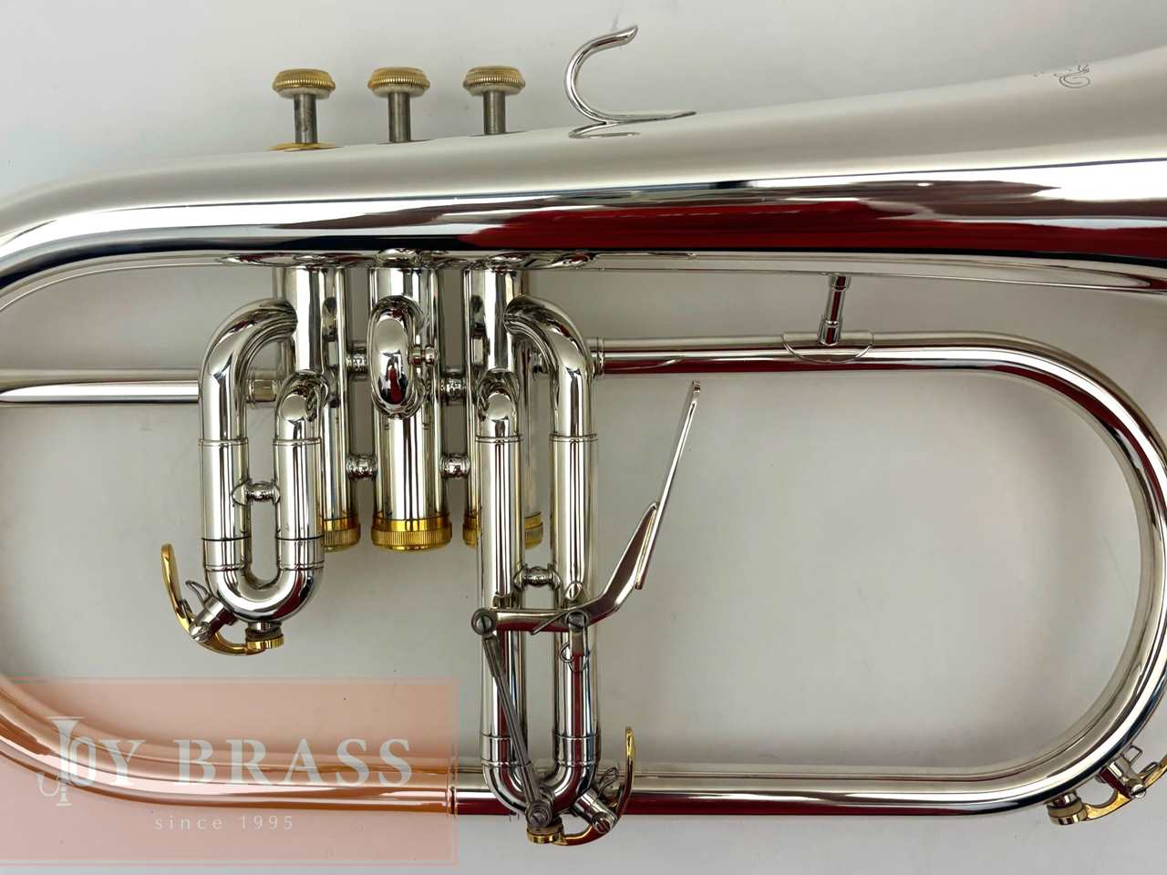 ������ѡ���ťե�塼����ۥ�� Buzz FL265L SP/GP #35xxx