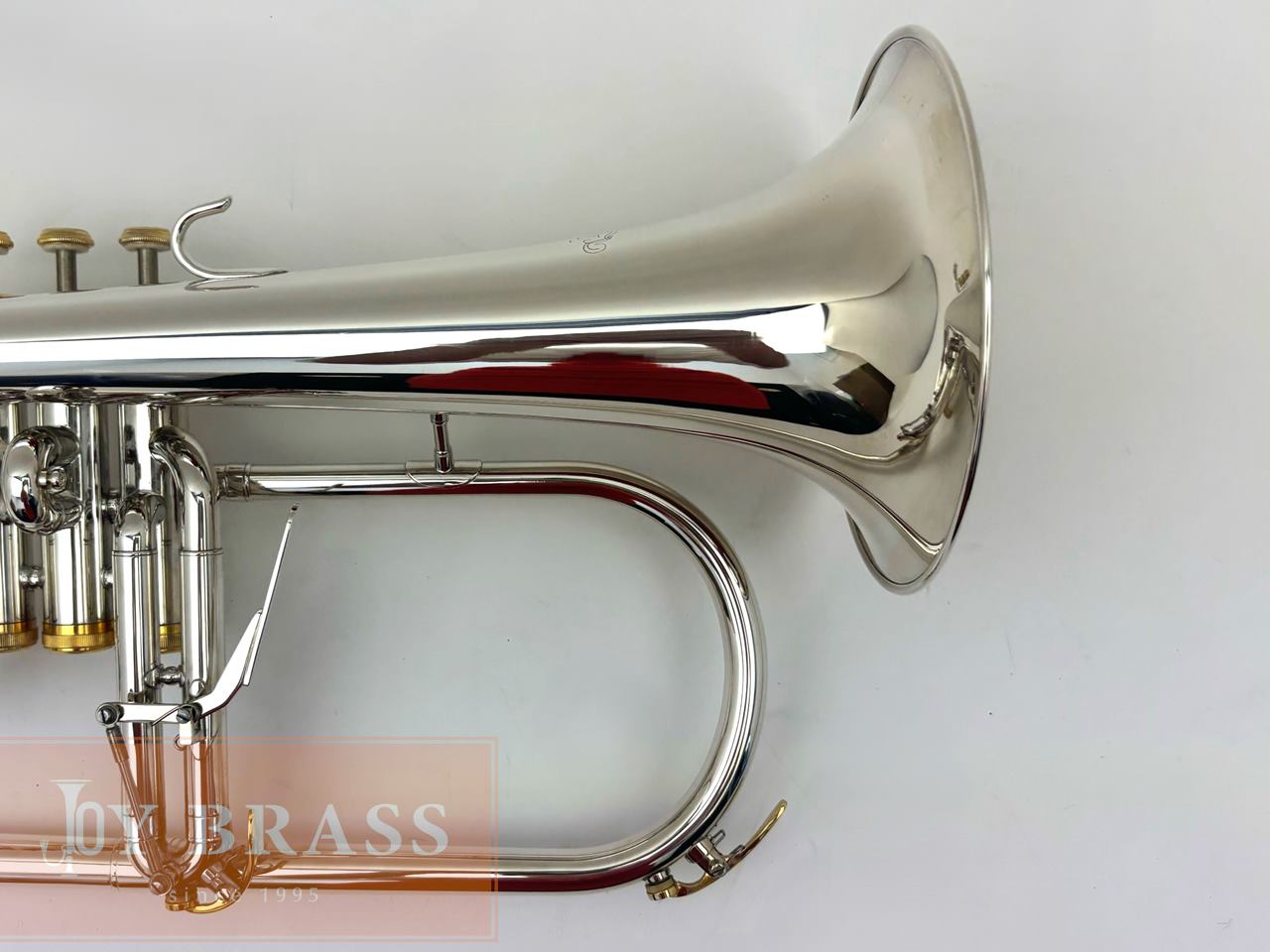 ������ѡ���ťե�塼����ۥ�� Buzz FL265L SP/GP #35xxx