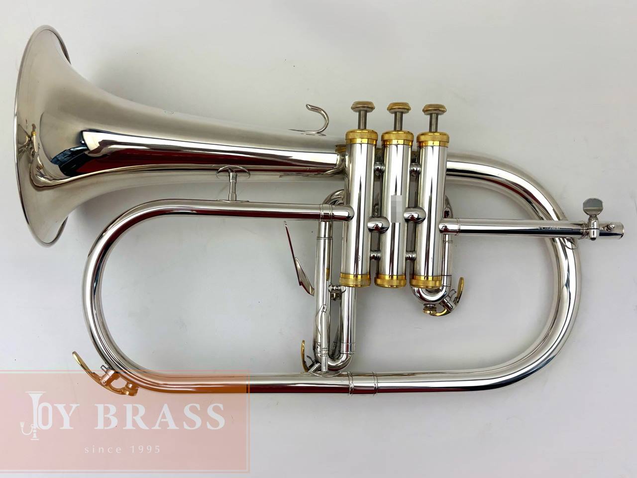 ������ѡ���ťե�塼����ۥ�� Buzz FL265L SP/GP #35xxx