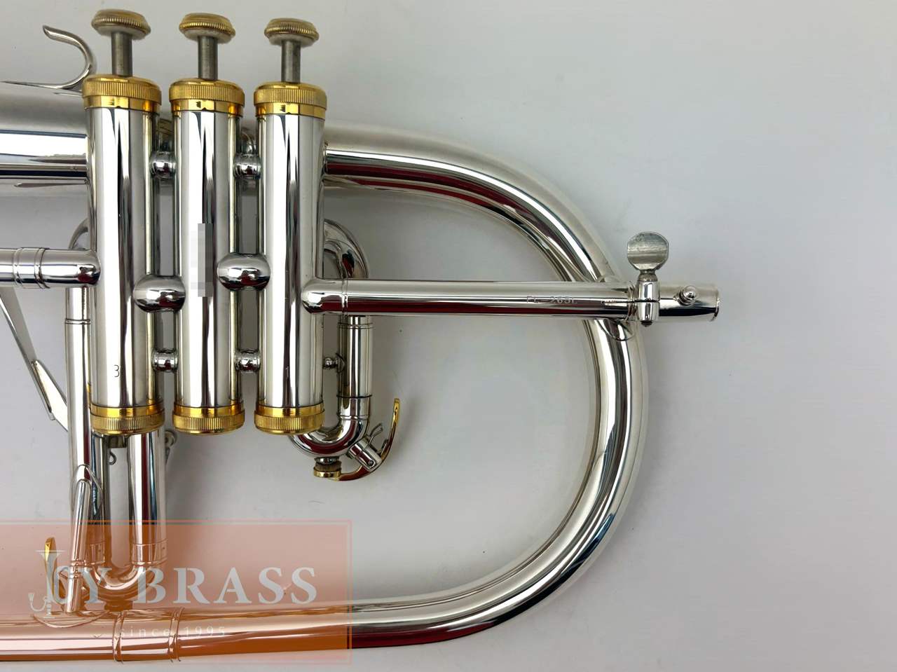 ������ѡ���ťե�塼����ۥ�� Buzz FL265L SP/GP #35xxx