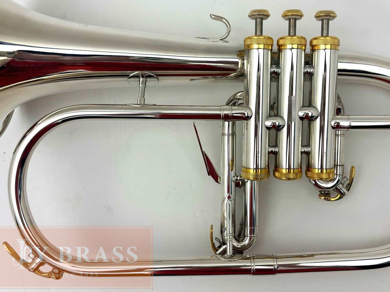 ������ѡ���ťե�塼����ۥ�� Buzz FL265L SP/GP #35xxx