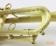 QueenBrass B���ɥȥ��ڥå� HINO��ǥ� �إӡ�/�饤�ȥ������� ���ƥ��å����ž夲