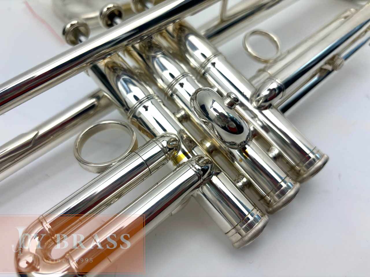 ���B���ȥ��ڥå� Carol Brass ZORRO SP #90xxx