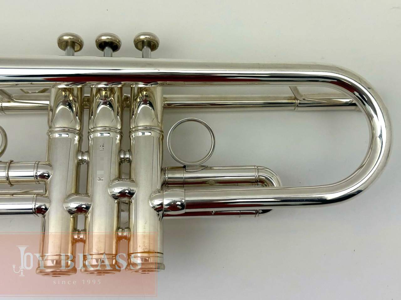 ���B���ȥ��ڥå� Carol Brass ZORRO SP #90xxx