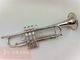 ���B���ȥ��ڥå� Carol Brass ZORRO SP #90xxx