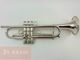 ���B���ȥ��ڥå� Carol Brass ZORRO SP #90xxx
