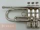 ���B���ȥ��ڥå� Carol Brass ZORRO SP #90xxx
