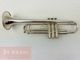 ���B���ȥ��ڥå� Carol Brass ZORRO SP #90xxx