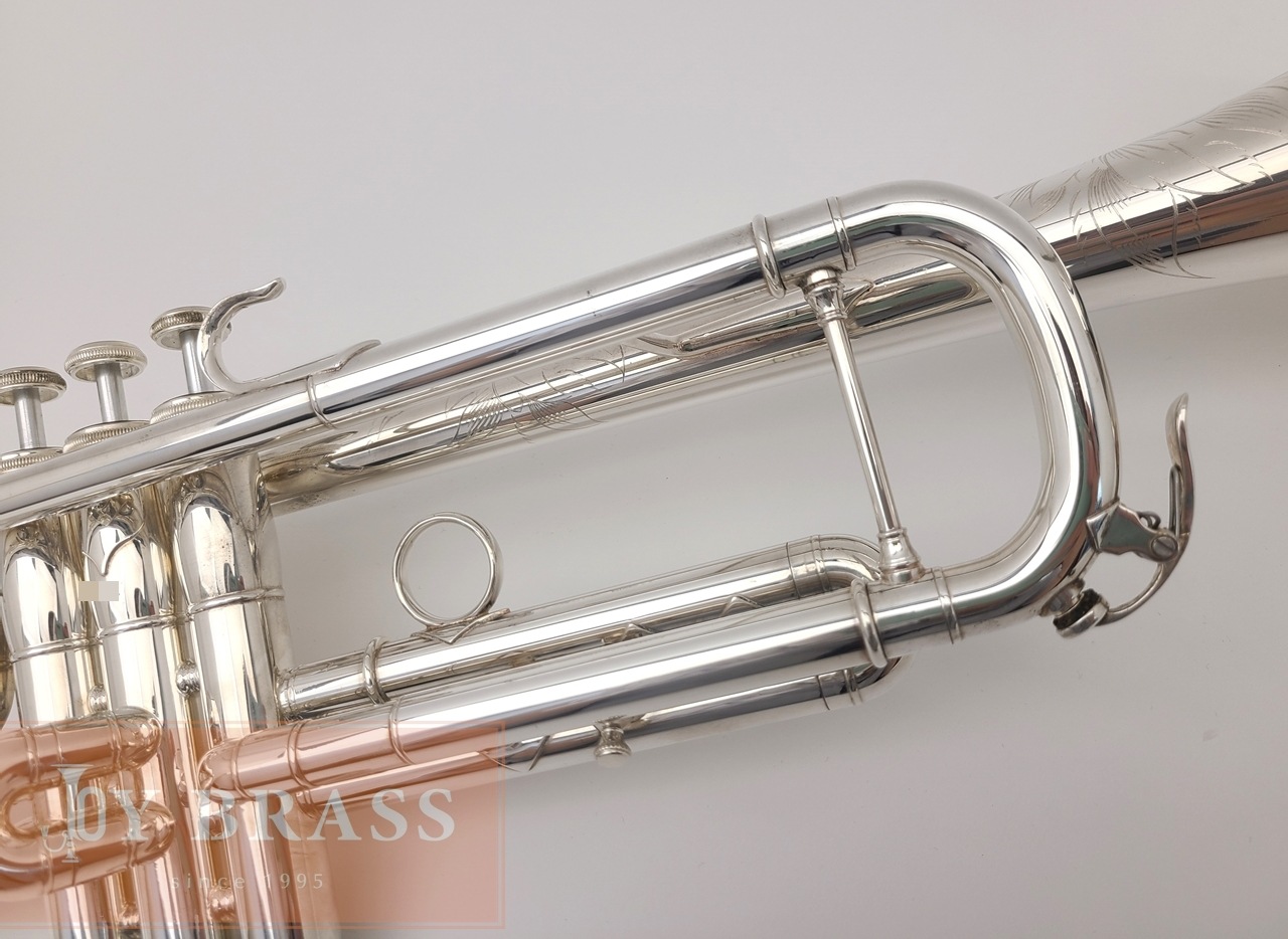 ���B���ȥ��ڥå� S.E.Shires BLW SP #5xx