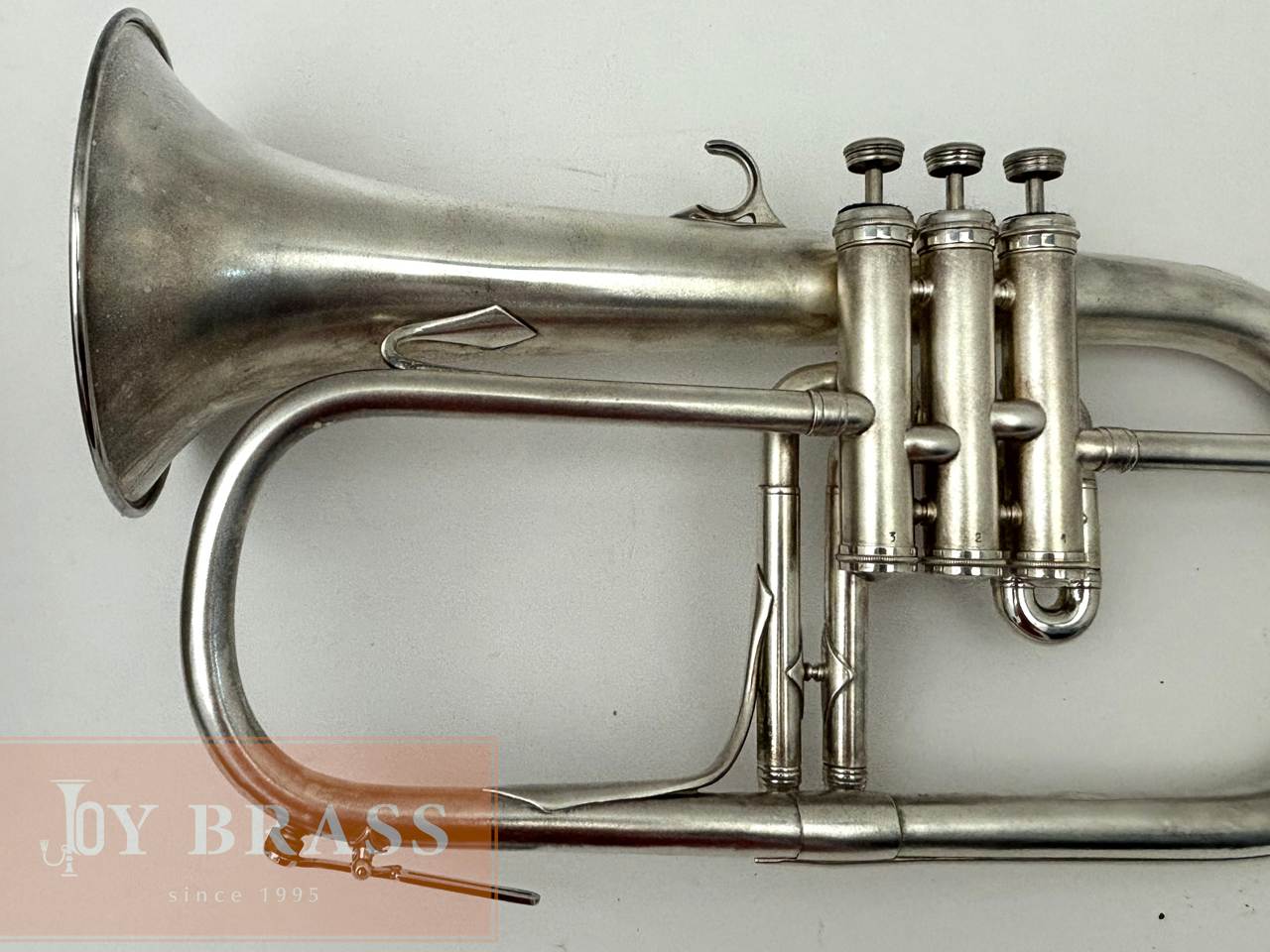 �ھ��������ťե�塼����ۥ�� Couesnon / Lafayette #54xxx