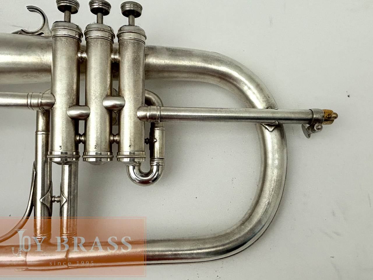 �ھ��������ťե�塼����ۥ�� Couesnon / Lafayette #54xxx
