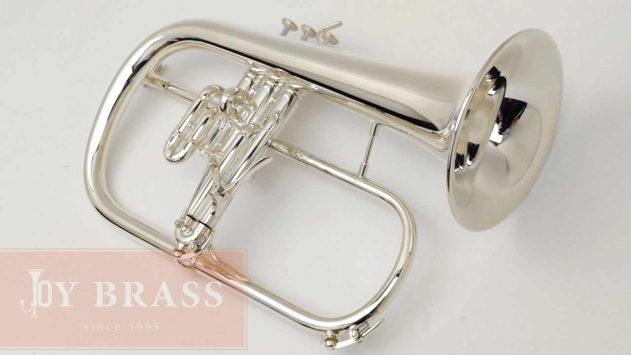 Van Laar �ե�塼����ۥ�� B1�����å��ž夲