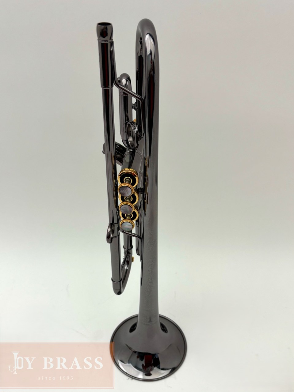 Bȥڥå Queen Brass ZORRO ֥å˥å #114xxx