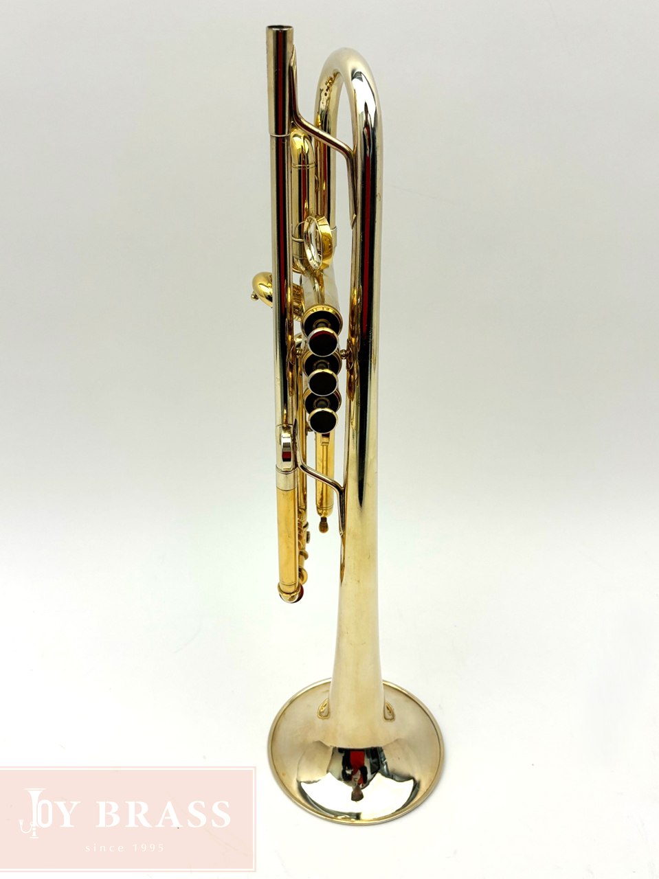 ������ѡ����B���ȥ��ڥå� XO RVT ������ GP #910xxx