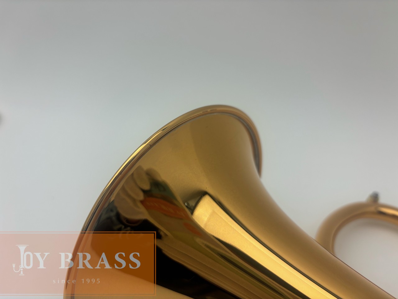 ������ѡ� ��ťե�塼����ۥ�� Queen Brass ��å��� #125xxx