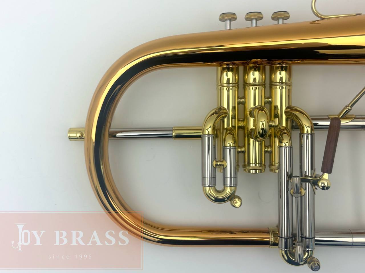 ������ѡ� ��ťե�塼����ۥ�� Queen Brass ��å��� #125xxx