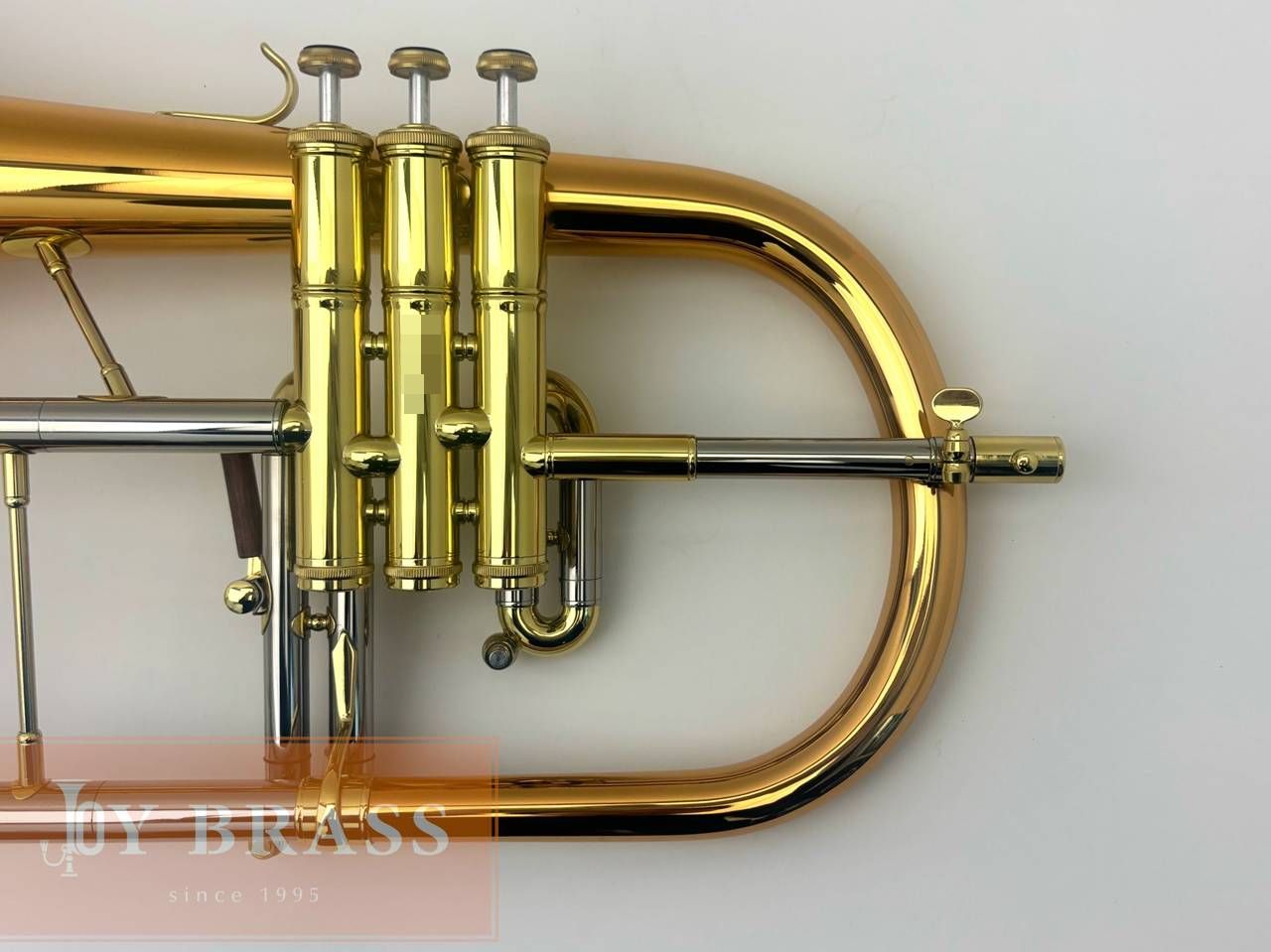 ������ѡ� ��ťե�塼����ۥ�� Queen Brass ��å��� #125xxx