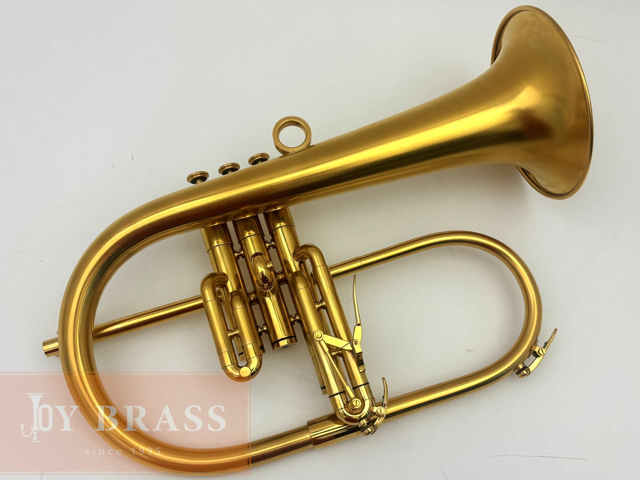 ������ѡ���ťե�塼����ۥ�� Van Laar OIRAM/Ack GP #12xx