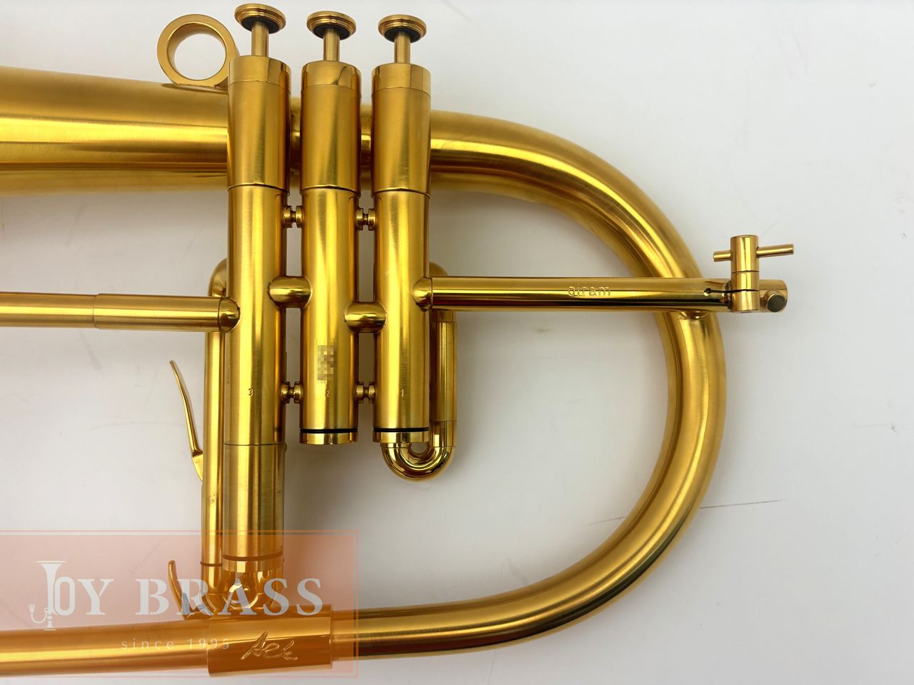 ������ѡ���ťե�塼����ۥ�� Van Laar OIRAM/Ack GP #12xx