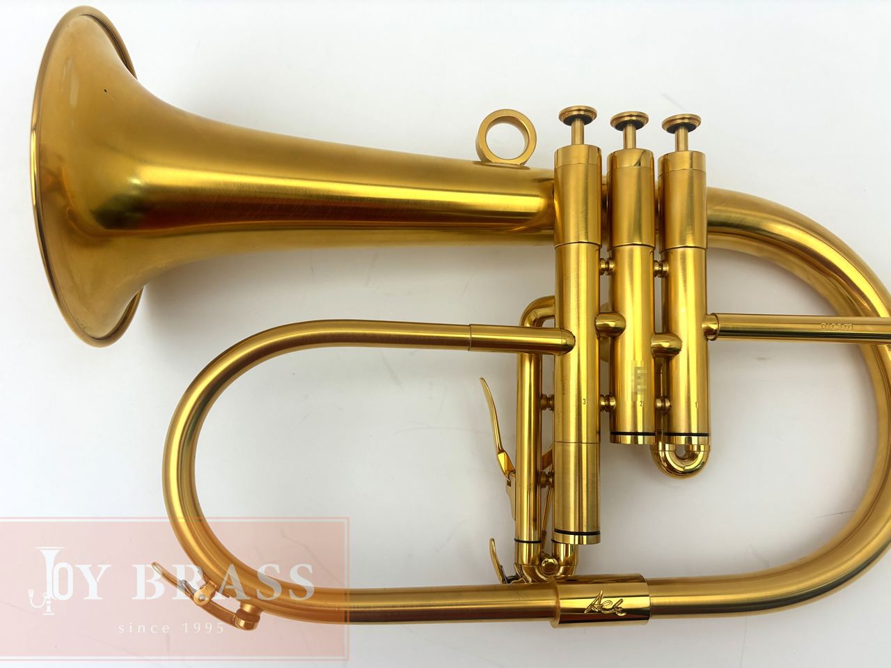 ������ѡ���ťե�塼����ۥ�� Van Laar OIRAM/Ack GP #12xx
