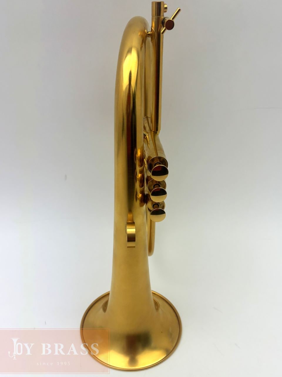 ������ѡ���ťե�塼����ۥ�� Van Laar OIRAM/Ack GP #12xx