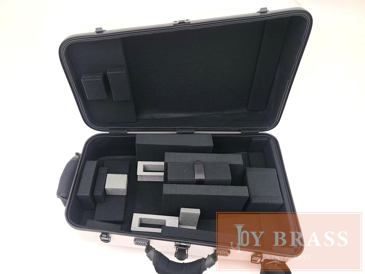 DAC��Sa-si NEXT��TP2+�� �ڿ��̸���ۥ��ѡ����륷�꡼��