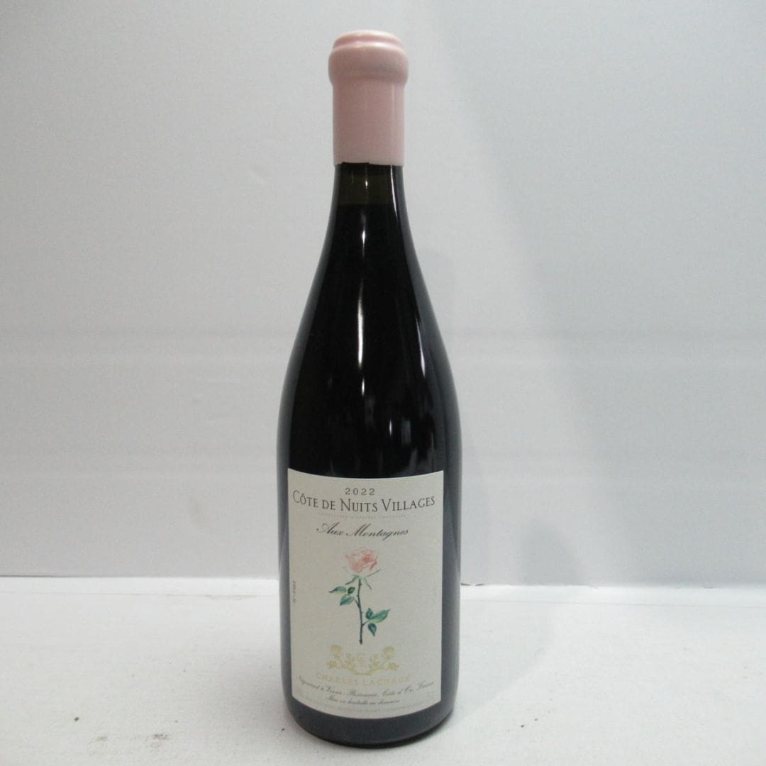 Charles Lachaux�ʥ����� �饷�硼�˥����� �� �˥奤 �����顼���� ���� ��󥿡��˥� 2022 Ȣ�ʤ�