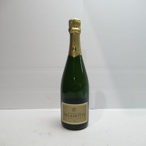 DELAMOTTE�ʥɥ����åȡ˥֥��å� �֥�� �� �֥�� 2018 Ȣ�ʤ�