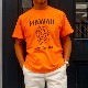 ԥ硼ʥǥ塼HAWAII DUKE T