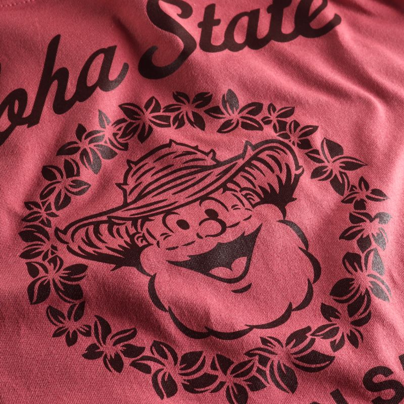 �ԥ���ץƥ󥵥󥿡�ALOHA STATE L/ST�����