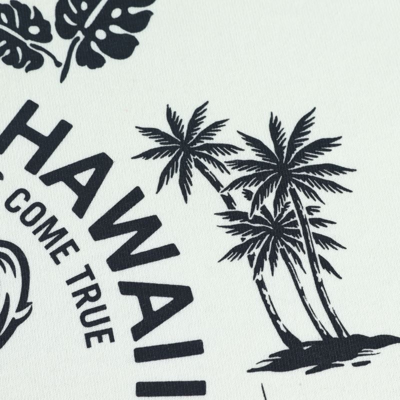 �ԥ���ץƥ󥵥󥿡�ISLAND STYLE T�����