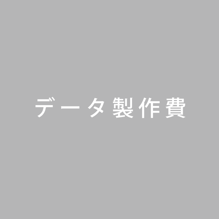 データ製作費　B